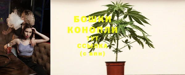 дмт Майский